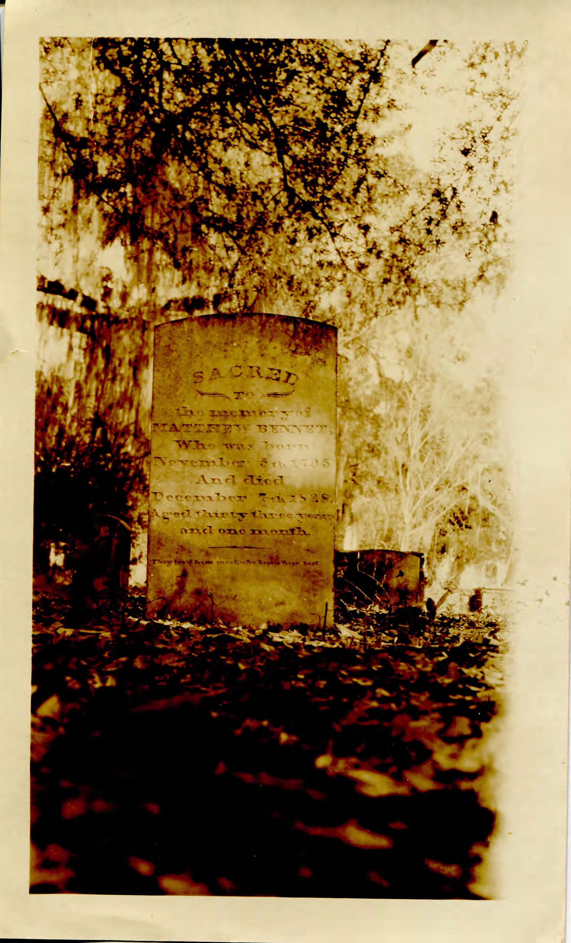 Photograph of Matthew Bennet's grave [JPG]