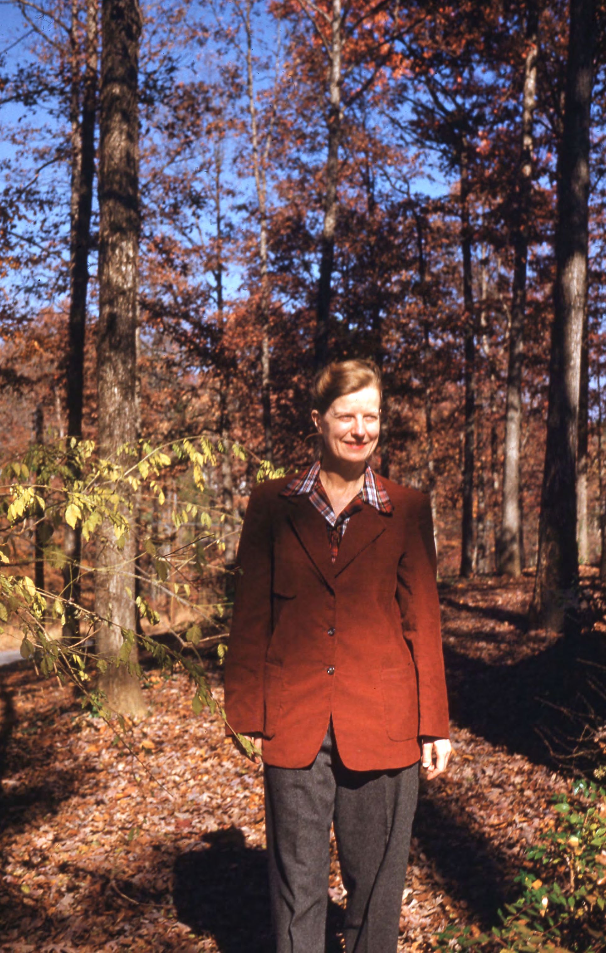 Photograph of woman in woods [JPG]